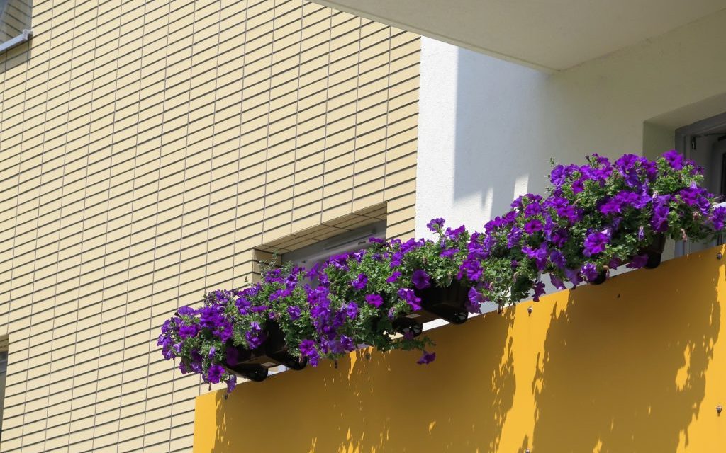 smiltainio spalvos klinkeris
