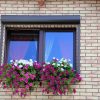 izoflex plytelės spalva 103 5 geltonos fasadines plyteles