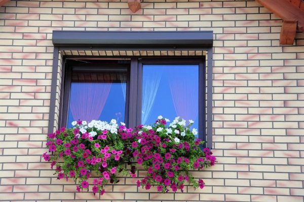 izoflex plytelės spalva 103 5 geltonos fasadines plyteles