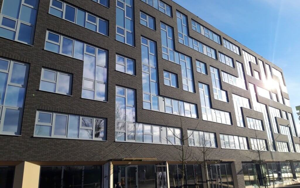 Lanksčios plytelės HAGA