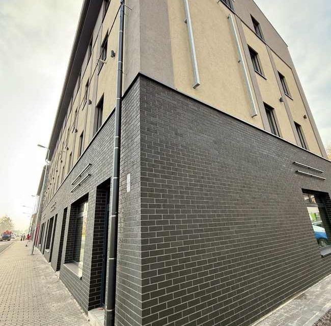 juodos klinkerio plyteles fleri