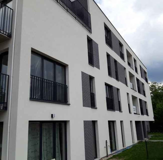 pilkas lankstus klinkeri piemont