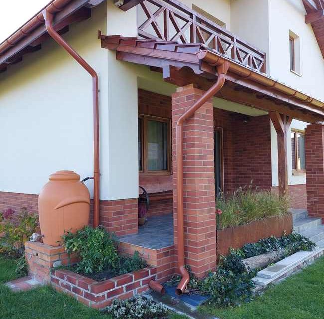 Lankstus klikeris 6006 Warna